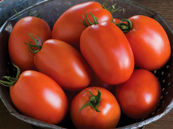 Plum Tomatoes | Wholesale Produce Iowa | Muzzarelli Farms