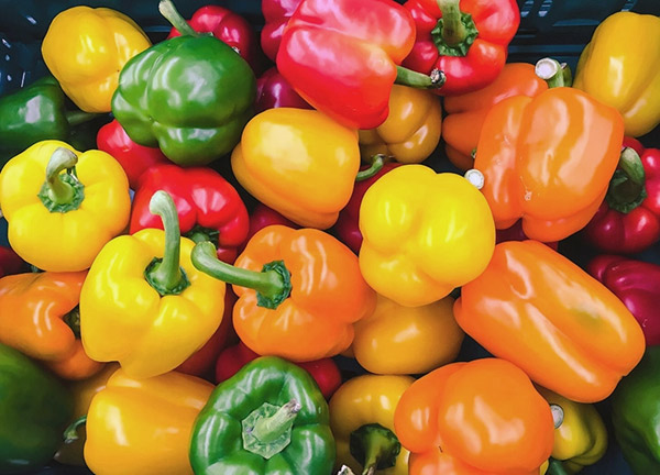 Peppers | Wholesale Produce Rhode Island | Muzzarelli Farms