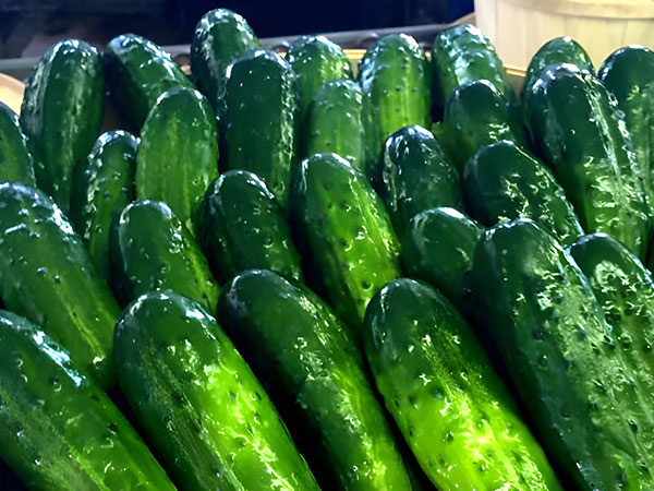 Pickles | Wholesale Produce Minnesota | Muzzarelli Farms