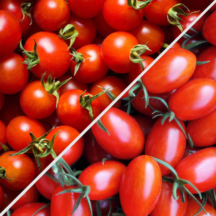 Cherry Tomatoes vs. Grape Tomatoes